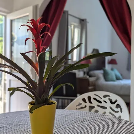 Casa Curral Do Porco Tábua