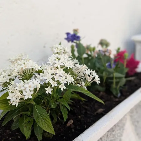 Casa Curral Do Porco Дом отдыха Табуа