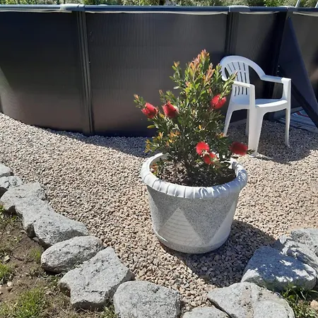 Σπίτι διακοπών Casa Curral Do Porco *
