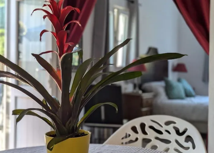 Casa Curral Do Porco Tábua