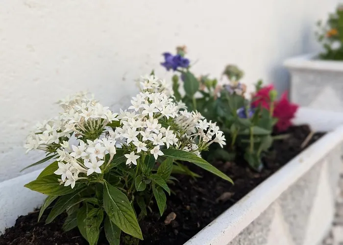 Casa Curral Do Porco Feriehus Tábua