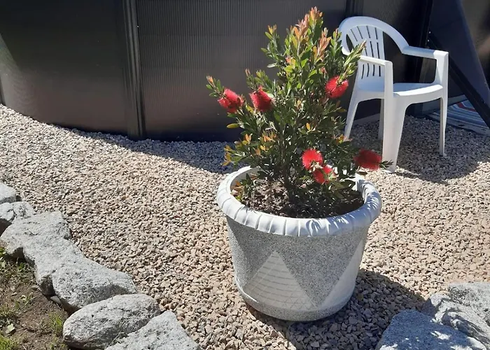 Feriehus Casa Curral Do Porco *